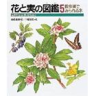 花と実の図鑑　花芽から花・実・たねまで　５