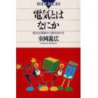 電気とはなにか　身近な現象から解きあかす