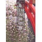 江戸の薫り漂う亀戸天神の藤　その歴史から手入れ法まで