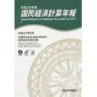 国民経済計算年報　平成２５年度