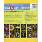 赤木かん子のもっと知りたい　１２巻セット