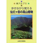 仙丈ケ岳の高山植物　南アルプス歩きながら