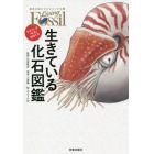 生きている化石図鑑　すばらしき「名品」生物たち　優秀生物たちのスペック公開Ｌｉｖｉｎｇ　Ｆｏｓｓｉｌ