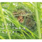 草はらをのぞいてみればカヤネズミ　日本でいちばん小さなネズミの物語
