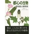 都心の生物　博物画と観察録