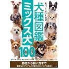 もっとよくわかる犬種図鑑ミックス犬１００種　特徴から飼い方まで