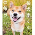 柴犬麦くんの毎日