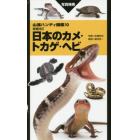 日本のカメ・トカゲ・ヘビ　写真検索