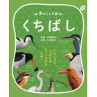 鳥のふしぎ　いろいろなすがたをしているのはなぜ？　１