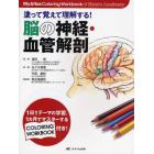 塗って覚えて理解する！脳の神経・血管解剖