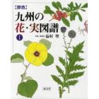 〈原色〉九州の花・実図譜　１