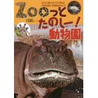 Ｚｏｏっとたのしー！動物園　小さい耳にはワケがある！大きな角には意味がない？