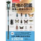 昆虫の図鑑採集と標本の作り方　九州・沖縄の身近な昆虫、全２６２１種