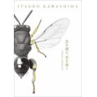 虫を観る、虫を描く　標本画家川島逸郎の仕事