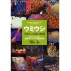 ウミウシ　生きている海の妖精　特徴がひと目でわかる各種ウミウシの図解付き