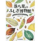 落ち葉のふしぎ博物館　ゲッチョ先生の落ち葉コレクション