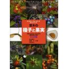 草木の種子と果実　形態や大きさが一目でわかる植物の種子と果実６３２種