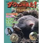 ＮＨＫダーウィンが来た！生きもの新伝説おどろき写真ストーリー　５