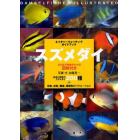 スズメダイ　ひと目で特徴がわかる図解付き　スズメダイ２００種＋幼魚、成魚、雌雄、婚姻色のバリエーション