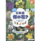 食育クイズこれは何の花？　身近な野菜や果物が全３２種！