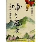 喃う石よ　小説歌人・小野葉桜