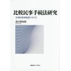 比較民事手続法研究　実効的権利保護のあり方