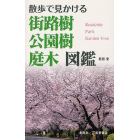 散歩で見かける街路樹・公園樹・庭木図鑑