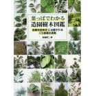 葉っぱでわかる造園樹木図鑑　造園技能検定に出題される１７０樹種を掲載