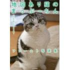 地図あり猫のまっぷーちんファースト写真集　「ねこ休み展」スピンオフ公認！