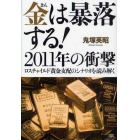 金は暴落する！２０１１年の衝撃　ロスチャイルド黄金支配のシナリオを読み解く