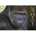 シャバーニ！　東山動植物園オフィシャルゴリラ写真集