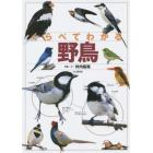 くらべてわかる野鳥　識別ポイントで見分ける