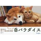 岳パラダイス　柴犬岳と茶トラ寅次朗の物語