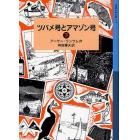 ツバメ号とアマゾン号　下