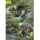 コケを見に行こう！　森の中にひっそり息づく緑のじゅうたん