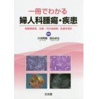 一冊でわかる婦人科腫瘍・疾患　周産期疾患，生殖・内分泌疾患，乳癌を含む