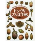 ドングリさんぽ手帖　ポケット版　名前と見分け方が楽しくわかる！