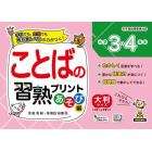 ことばの習熟プリント小学３・４年生　大判サイズ　あそび編