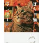 ぽちゃ猫ワンダー