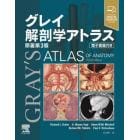 グレイ解剖学アトラス