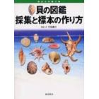 貝の図鑑採集と標本の作り方　海からの贈り物