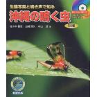 沖縄の鳴く虫５０種　生態写真と鳴き声で知