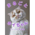 まるごとホイちゃんファースト写真集　「ねこ休み展」スピンオフ公認！