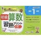 初級算数習熟プリント小学１年生　大判サイズ