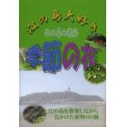 江の島大好き江の島の植物季節の花　江の島を散策しながら見かけた植物８００種