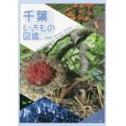 千葉いきもの図鑑　ほ乳類／は虫類／両生類／鳥類／魚類／甲殻類／軟体動物／昆虫／草本／木本／キノコ他