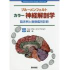 ブルーメンフェルト　カラー神経解剖学　臨床例と画像鑑別診断