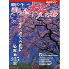 美しき桜の春　撮影ガイド