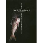 ＳＯＵＬ　ＯＦ　ＡＮＩＭＡＬＳ　肉体の奥に秘められた魂に焦点を合わせる