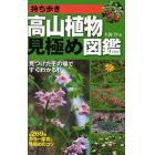 持ち歩き高山植物見極め図鑑　見つけたその場ですぐわかる！